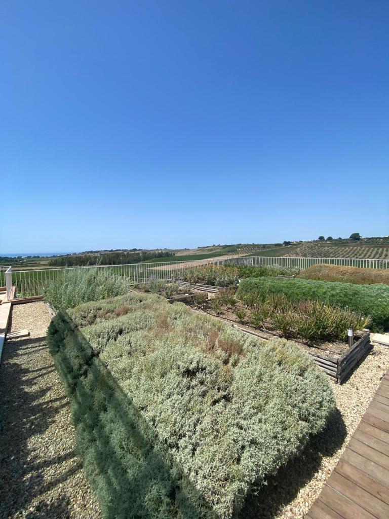 Herb garden terrace at La Foresteria, Menfi, Sicily