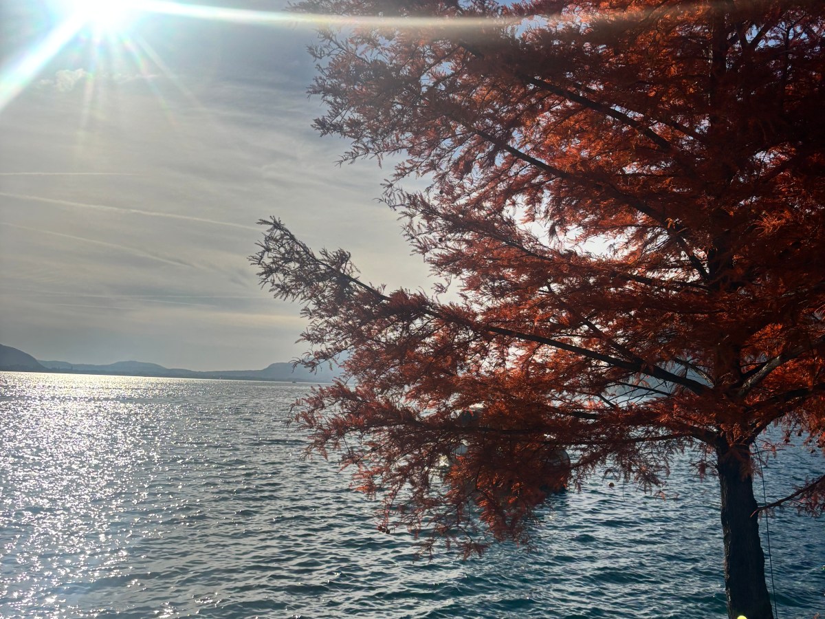 Discover the Hidden Charm of Lake Iseo