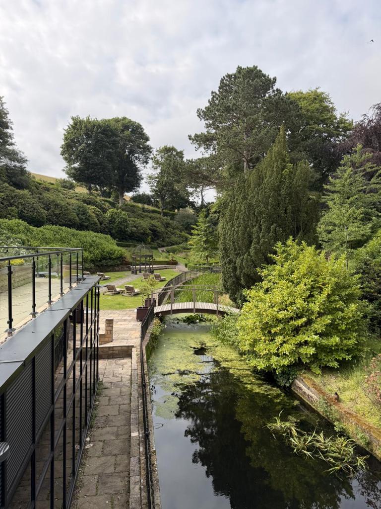 Saltmoore gardens